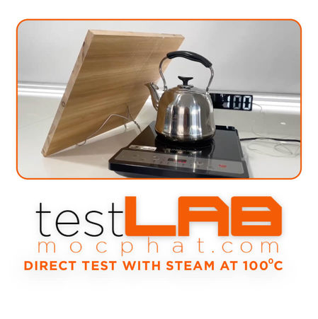 Direct Test With Steam At 100°C