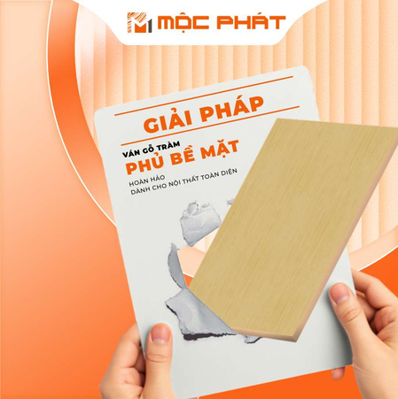 Giải Pháp Ván Gỗ Tràm Phủ Bề Mặt Hoàn Hảo Dành Cho Nội Thất Toàn Diện