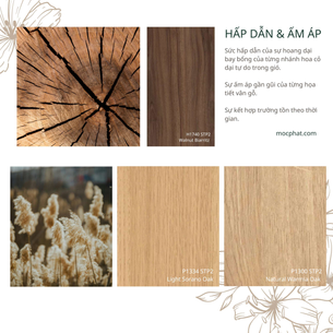 Moodboard - Hấp Dẫn và Ấm Áp Trong Thiết Kế Không Gian Nội Thất